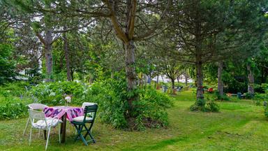ein gedeckter Tisch auf einer Wiese unter alten Bäumen