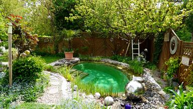 Ein kleiner Gartenteich umgeben von Bäumen