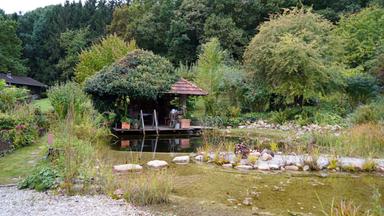 Das Bild zeigt einen idyllischen Garten im Burgenland. Im Vordergrund befindet sich ein Schwimmteich, dessen Wasser ruhig ist und von verschiedenen Steinen und Pflanzen umgeben wird. An einem Rand des Teiches steht eine kleine Holzlaube mit einem schrägen, roten Dach. Vor der Laube sind einige Pflanzen in Töpfen platziert.   Die Umgebung ist reich an grünen Bäumen und Sträuchern, die den Garten umrahmen. Im Hintergrund erkennt man einen Wald mit hohen, dichten Bäumen, die für Schatten und eine naturnahe Kulisse sorgen. Es gibt einen sanften Übergang von gepflegtem Gartenbereich zu wilderer Vegetation.  Die gesamte Szene vermittelt eine ruhige, harmonische Atmosphäre, ideal zum Entspannen und zur Erholung. Der Garten scheint liebevoll gestaltet zu sein und bietet verschiedene Elemente der Natur, die miteinander harmonieren.