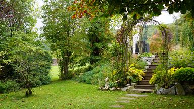 Das Bild zeigt eine grüne Gartenlandschaft, die in verschiedene Bereiche unterteilt ist. Im Vordergrund befindet sich eine Wiese mit saftigem, grünem Gras. Auf der linken Seite stehen einige kleine, verzweigte Bäume und Sträucher. Rechts führen ein paar Steinstufen in einen höher gelegenen Bereich.   Über den Stufen wächst üppige Vegetation, darunter große, blätterreiche Pflanzen wie Hostas, sowie farbenfrohe Blumen. Am oberen Ende der Stufen ist eine geschwungene Laube mit einer Anordnung aus Pflanzen, die den Zugang in den hinteren Gartenbereich betont.   Im Hintergrund sind größere Bäume mit verschiedenen Blattfarben zu sehen, die auf eine vielfältige Baumartenlandschaft hinweisen. An einem Teil des Hangs kann man, angedeutet durch die Gartenarchitektur, einen Naturteich und gemütliche Sitzplätze vermuten, die im Bild jedoch nicht sichtbar sind.   Die gemütliche und einladende Atmosphäre des Gartens wird durch sanftes Licht und die natürliche Umgebung unterstrichen.