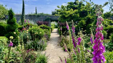 Ein Gartengelände vor blauem Himmel
