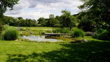 Ein grüner Garten mit einem kleinen Teich in der Mitte