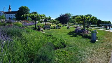 Eine Gartenansicht vor blauem Himmel