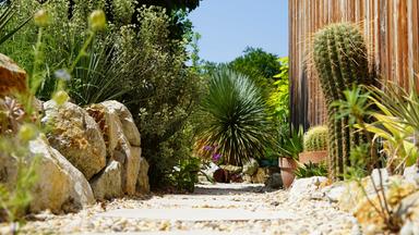 Pflanzen umgeben von Steinmauern und einer Holzwand