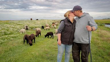 Ein Paar küsst sich auf einer Weide.