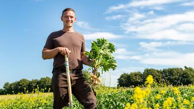 Ein Mann auf einem Kartoffelacker.