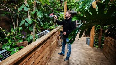 Ein Mann auf einem Holzweg in einem Haus voller Pflanzen.