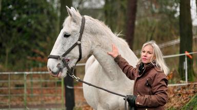 Eine Frau streichelt den Hals eines Pferdes.