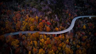 Luftaufnahme einer kurvenreichen Straße durch die bewaldete Berglandschaft bei Boone in North Carolina. Die Bäume leuchten in kräftigen Herbstfarben.