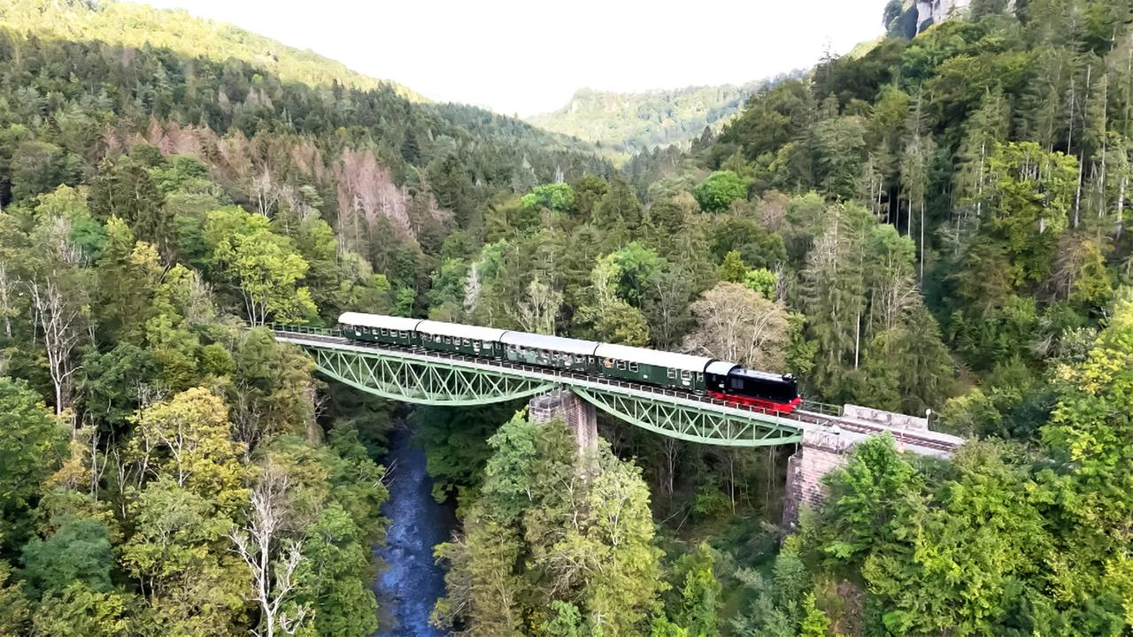 Im Bild ist eine dampfbetriebene Lokomotive auf einer hohen grünen Eisenbahnbrücke zu sehen. Die Brücke führt über ein Waldgebiet mit vielen Bäumen. Ein Bach verläuft unter der Brücke hindurch.