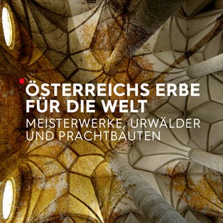 Collage Franziskanerkirche Mittelschiff, Lotrecht mit Stämmen eines Herbstwaldes