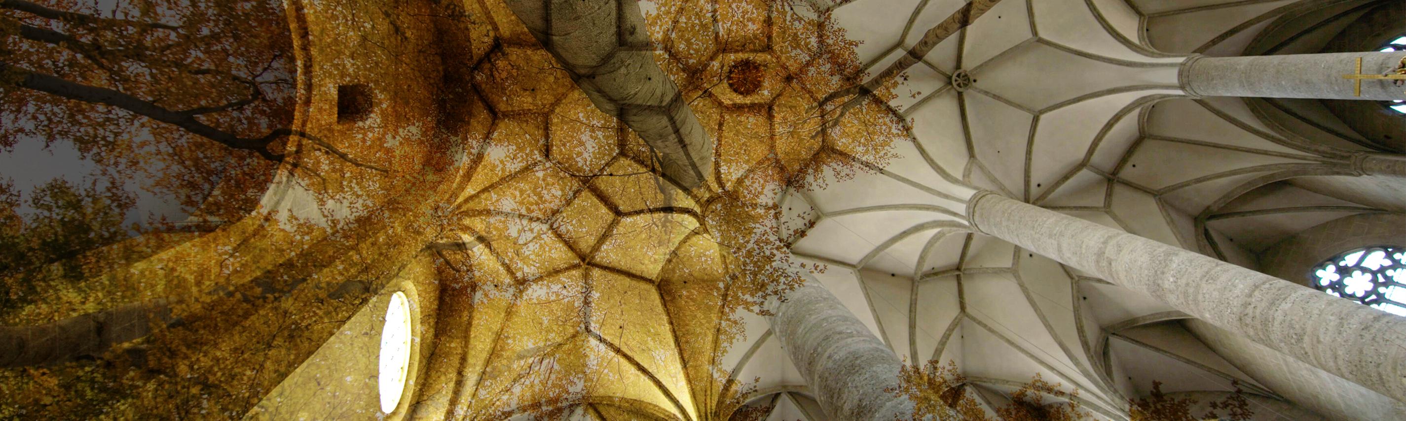 Collage Franziskanerkirche Mittelschiff, Lotrecht mit Stämmen eines Herbstwaldes