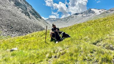 Ein Hirte sitzt mit seinen zwei Hunden auf einer grünen Bergwiese im Ötztal, im Hintergrund schneebedeckte Gipfel und blauer Himmel mit Wolken.