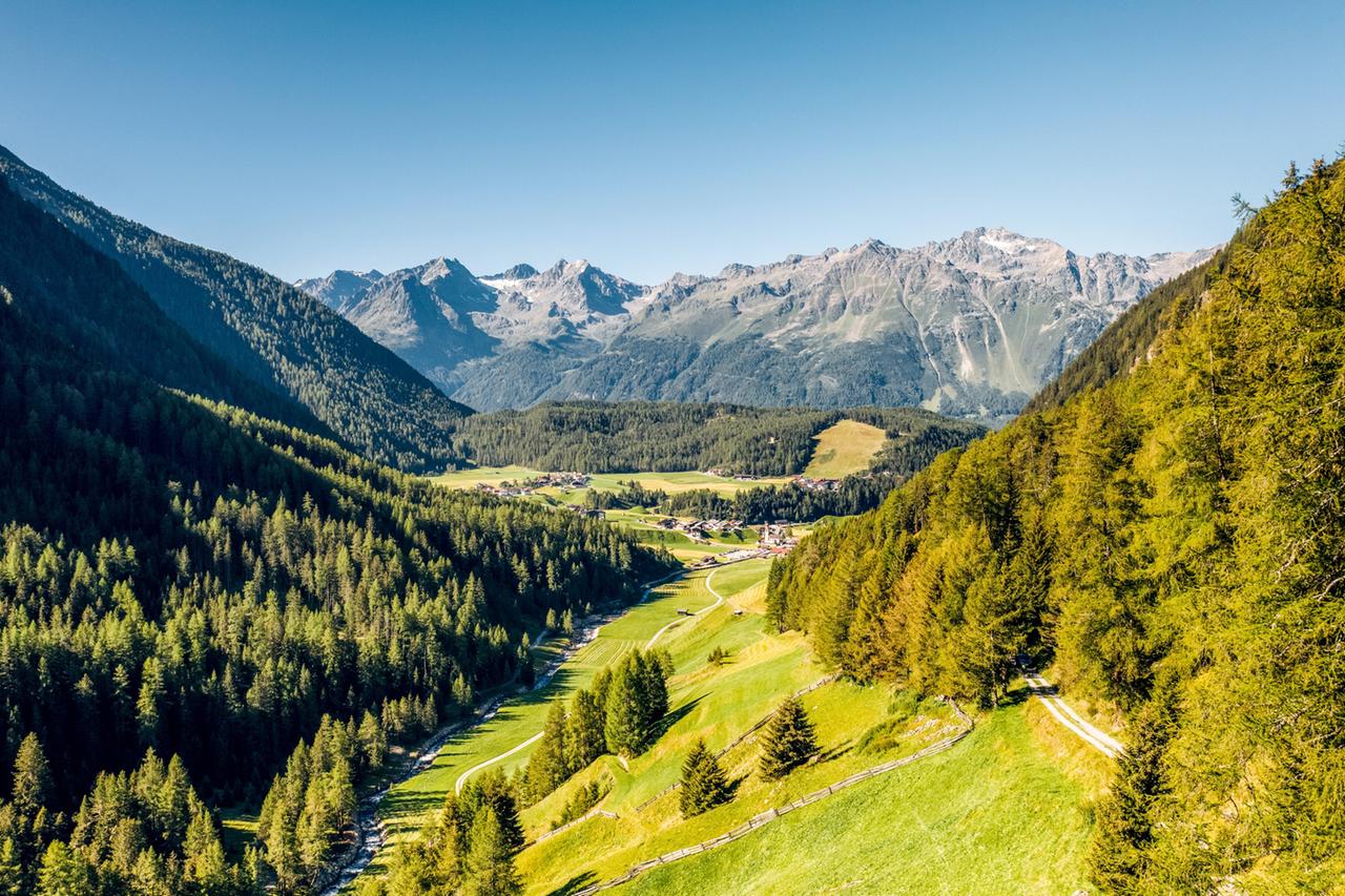 Panoramablick auf das grüne Ötztal mit Waldhängen, Almwiesen, einem Gebirgsbach und den dahinterliegenden Gipfeln der Alpen im Sommer.