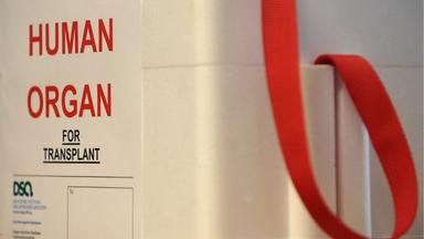 Weißer Koffer mit der roten Aufschrift "Human Organ". 