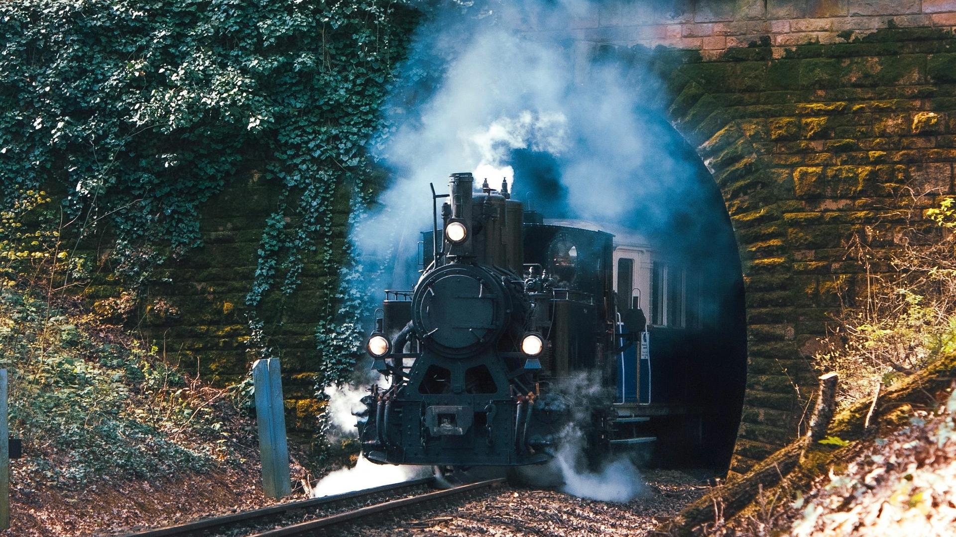 Eine historische Dampflok fährt aus einem Tunnel durch eine bewaldete Landschaft.