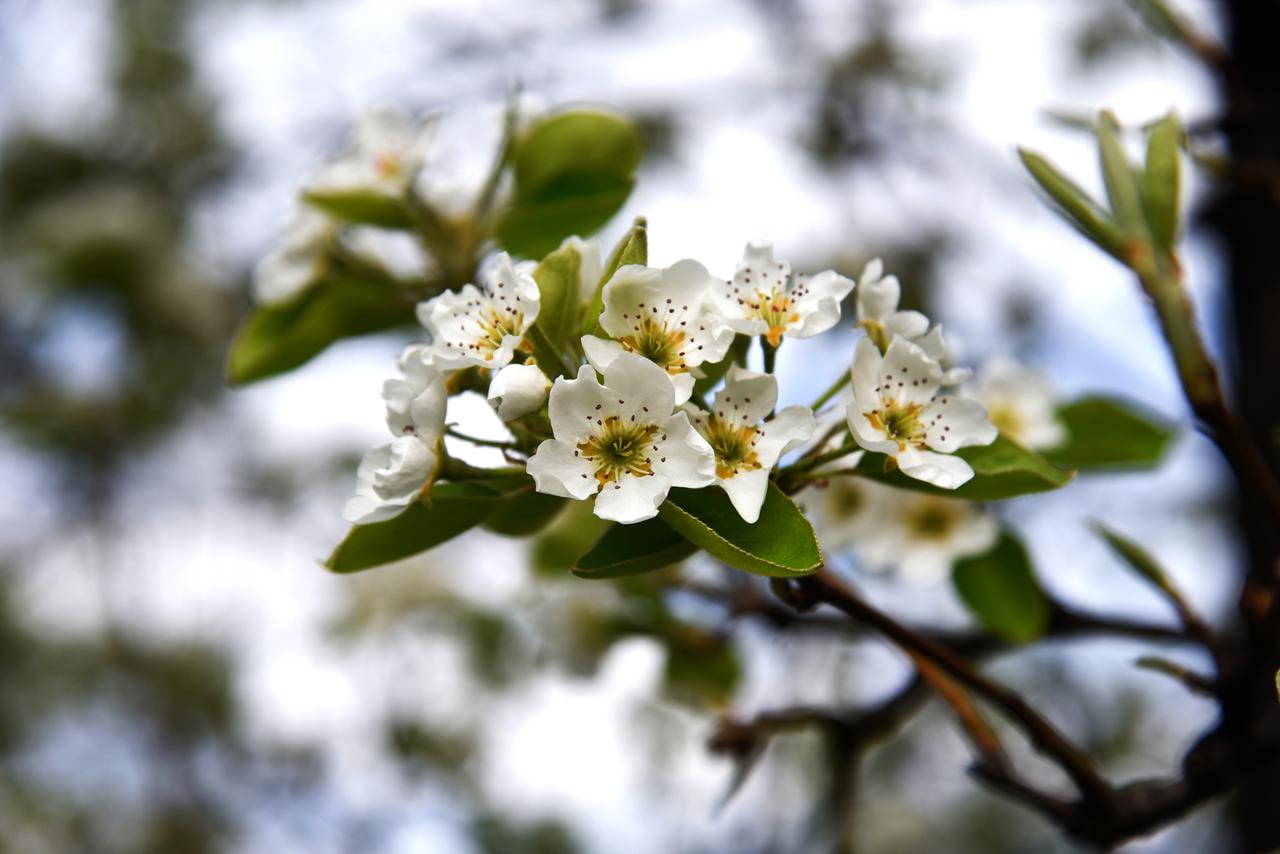 Frühlings Impressionen