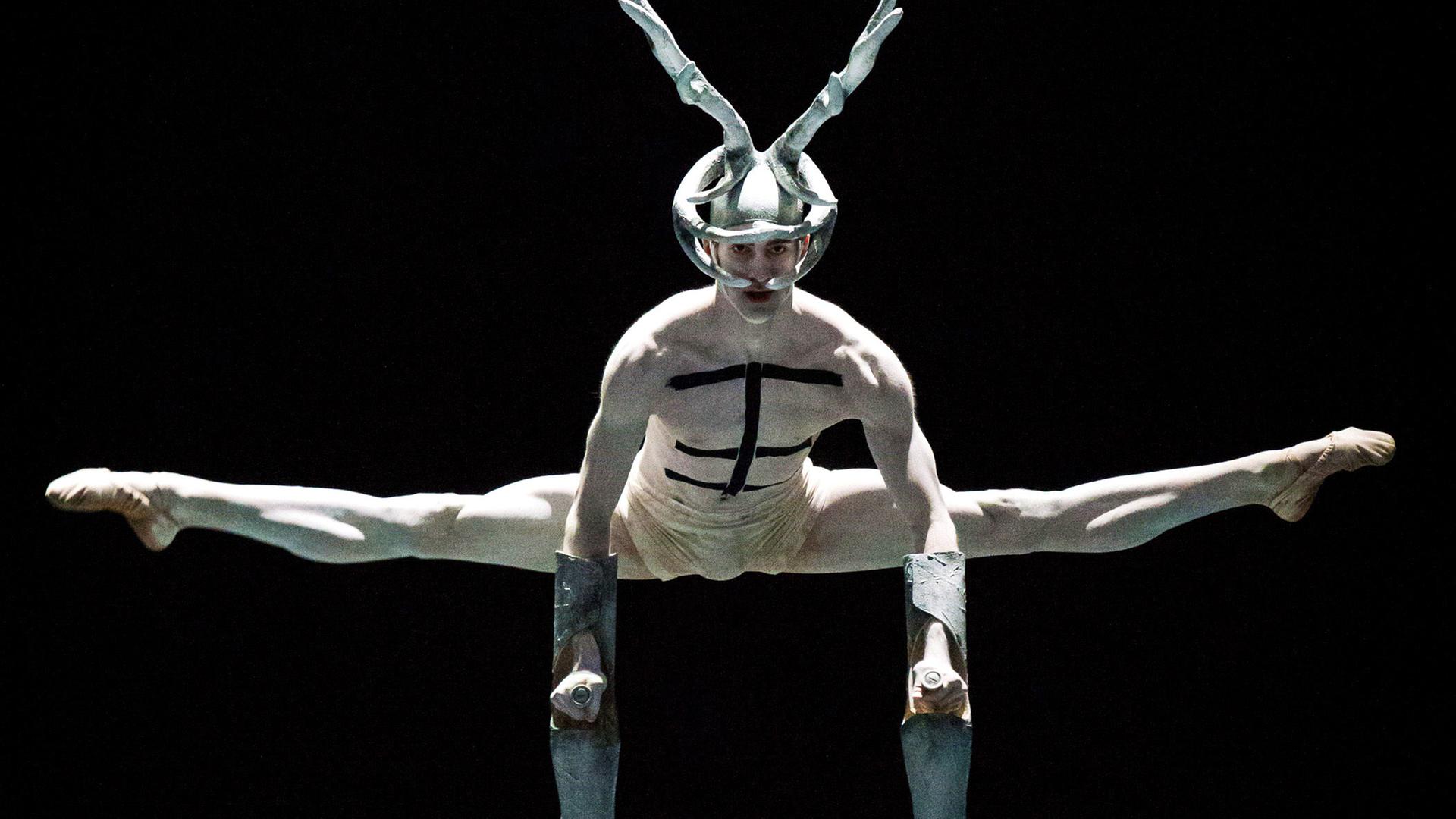  Zsolt Török (ein Hirsch). 