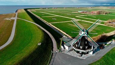 Pellworm von oben mit Blick auf die Nordermühle, die Wiesen und die Küste.
