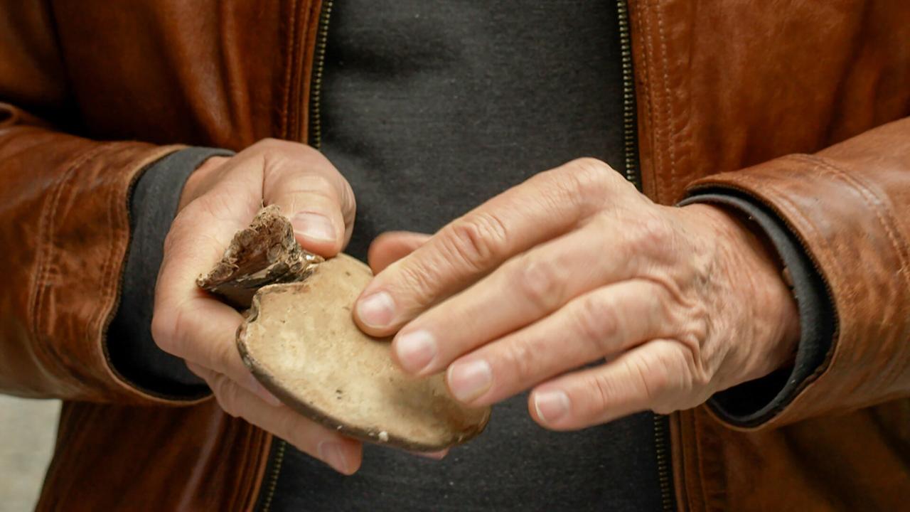 Eine Person hält einen Birkenporling in beiden Händen. Der Pilz ist rundlich und hat eine glatte, beige Oberfläche. Die Person trägt eine braune Lederjacke und ein schwarzes Oberteil.