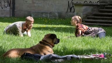 Ein Hund liegt im Gras und schaut einem jungen Mann mit Bart und einer einer jungen Frau zu, die einander zugewandt auf Unterarmen und Knien im Gras kauern und sich anschauen.