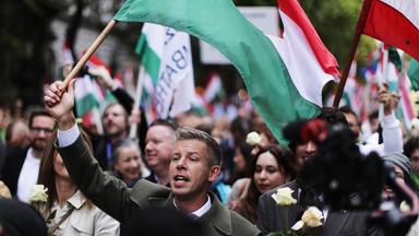 Ein Mann der eine Fahne hält läuft bei einer Demonstration mit.