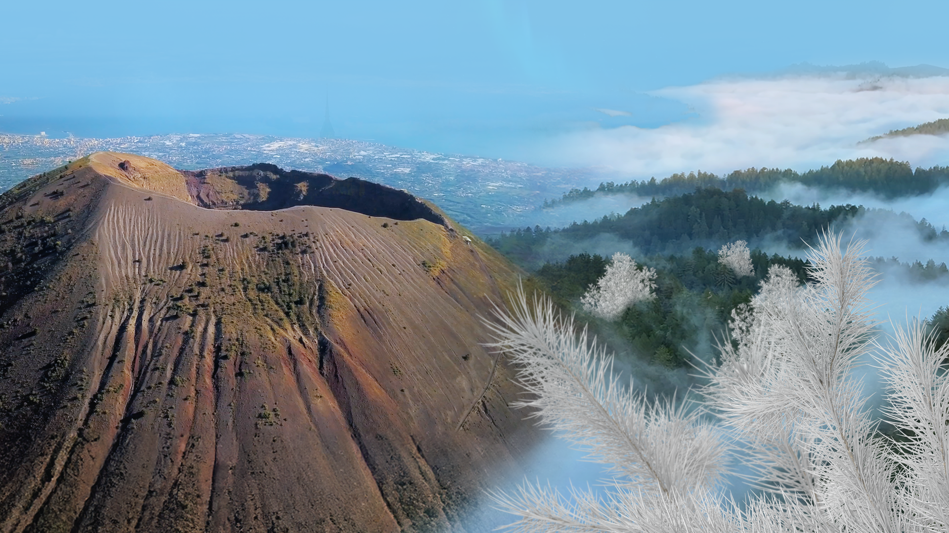 Collage: Der Vesuv (links) und Geisterbäume (rechts).