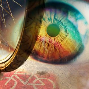 teaser politik und gesellschaft