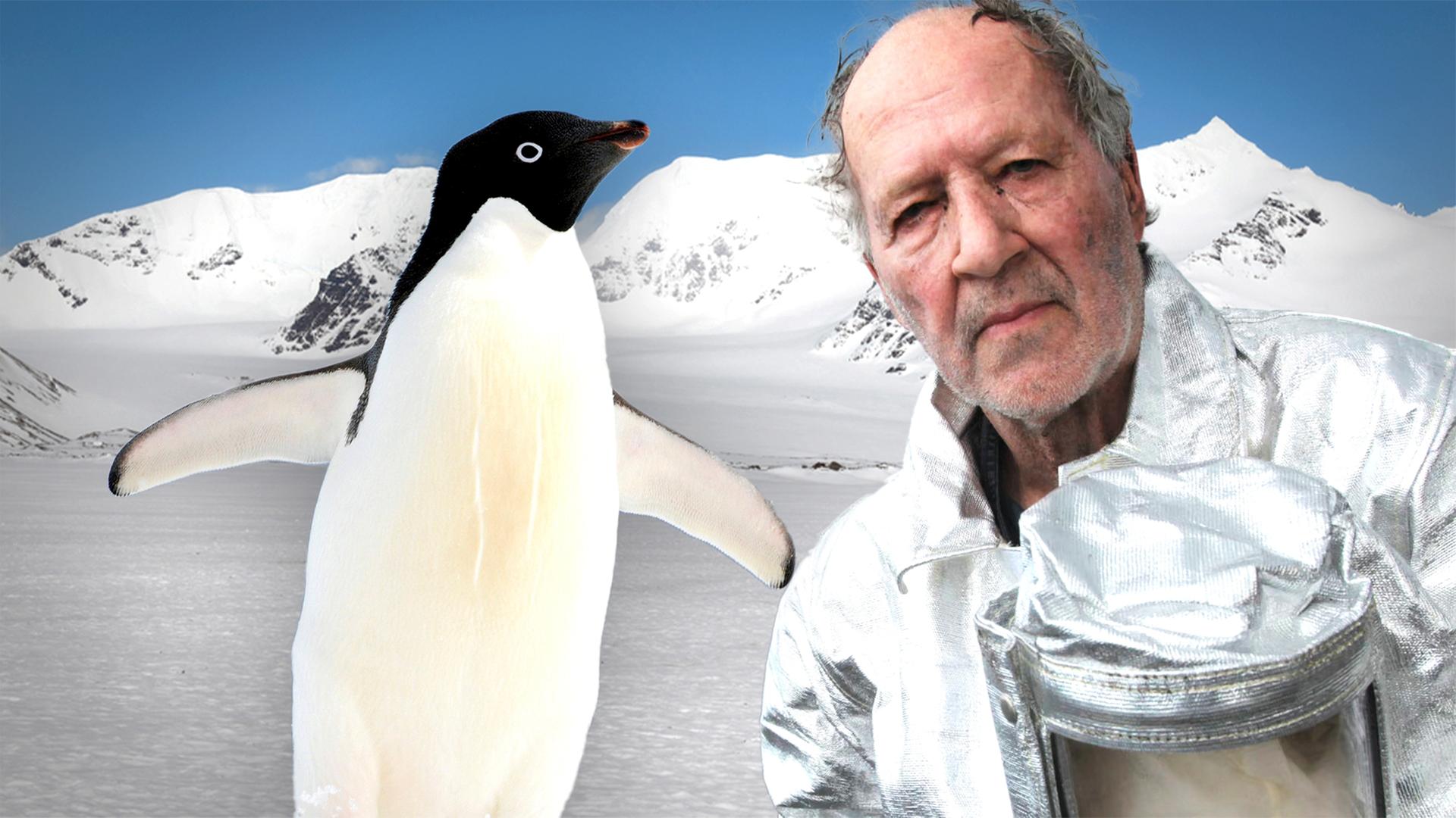 Werner Herzog und ein Pinguin
