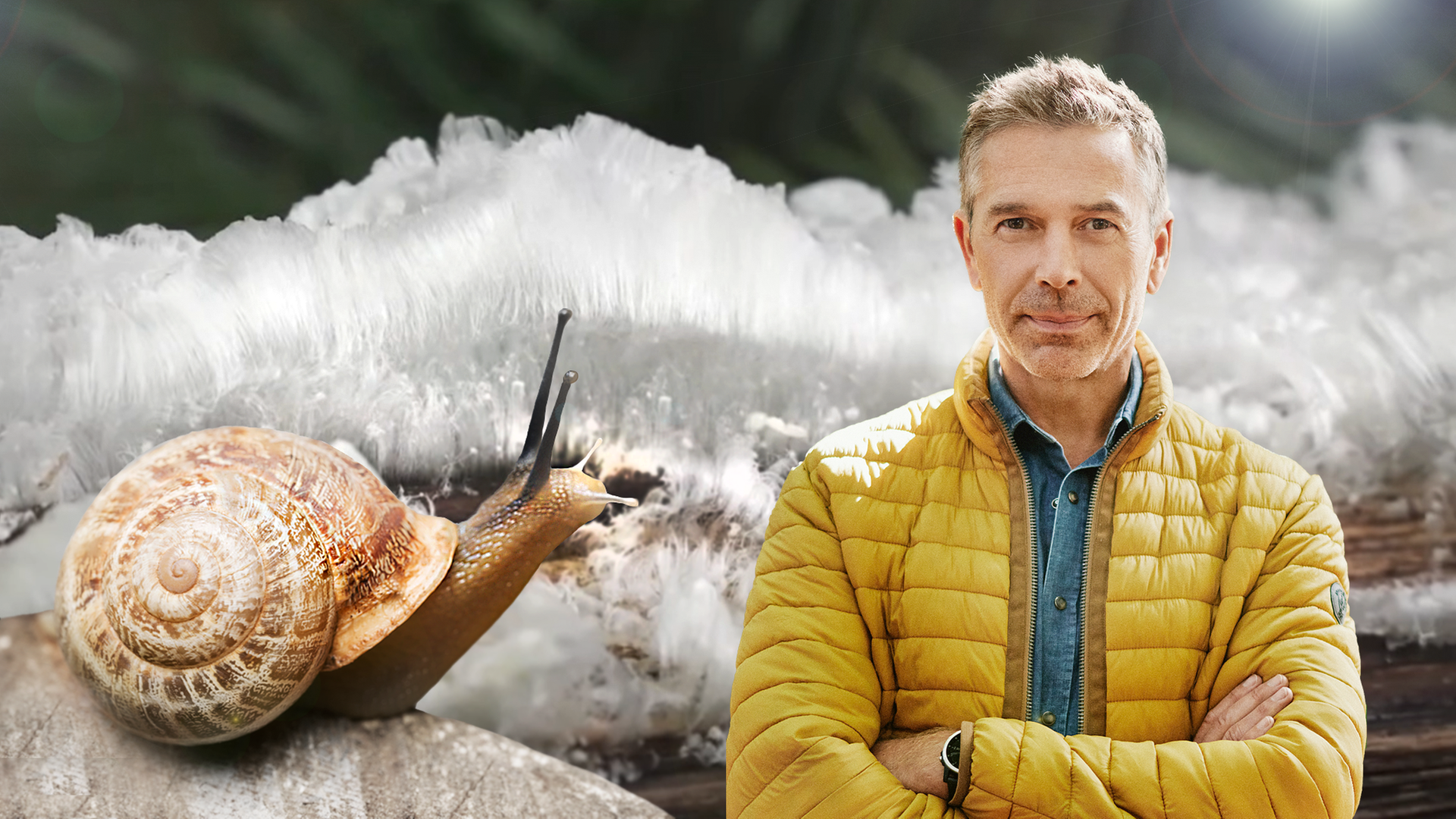 Links eine Schnecke, rechts Dirk Steffens