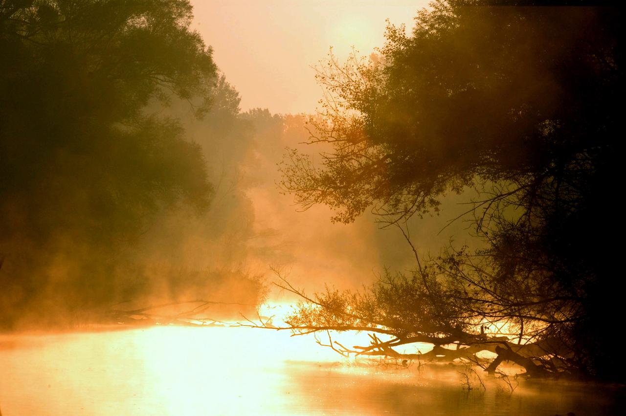  Nebel über dem Mauthnerwasser.