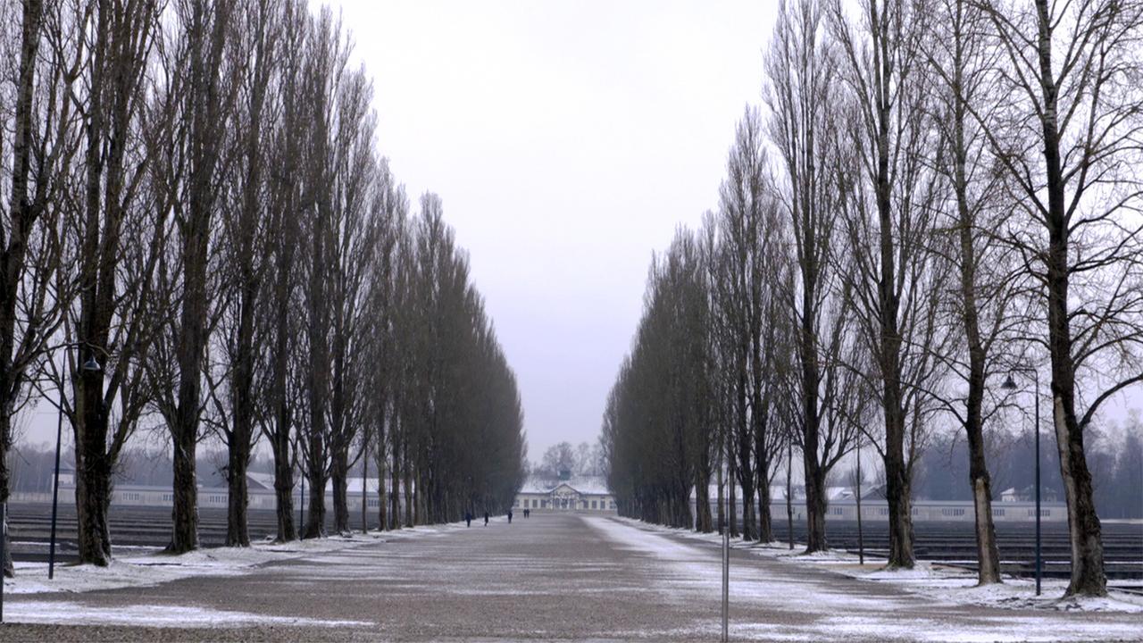 Das Bild zeigt eine anonyme, karge Landschaft im Konzentrationslager Dachau. Die Ansicht ist durch eine lange, gerade Allee geprägt, die von hohen, schlanken Bäumen gesäumt wird. Diese Bäume haben im Winter keine Blätter und wirken kahl. Der Boden ist mit einer dünnen Schicht Schnee bedeckt, was der Szenerie eine düstere Atmosphäre verleiht.  Am Ende der Allee ist ein großes, helles Gebäude sichtbar, das im Hintergrund liegt. Der Himmel ist leicht bewölkt und insgesamt grau, was zur melancholischen Stimmung des Bildes beiträgt. Die Atmosphäre vermittelt ein Gefühl von Kälte und Einsamkeit, und es sind keine Menschen auf dem Bild zu sehen. Der gesamte Anblick ist eindringlich und erinnernd an die Geschichte des Ortes.