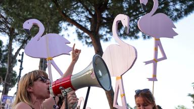 Bei einer Demonstration halten Frauen rosa Flamingos aus Pappe hoch, während eine Frau in ein Megaphon spricht.