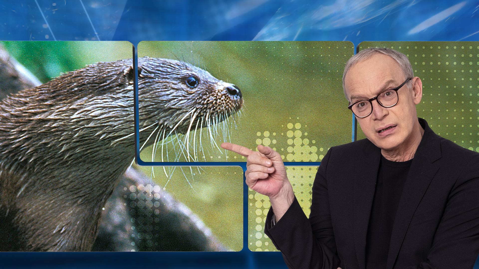 Moderator mit Otter im Hintergrund