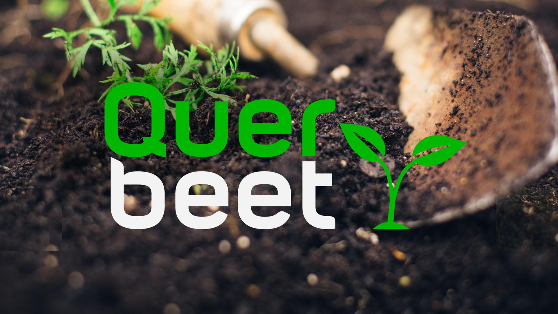 sendetypical  querbeet