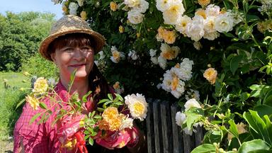 Deko-Ideen mit Rosen von Sabrina Nitsche im Querbeet-Garten