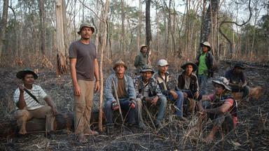 Eine Gruppe Männer auf einem Baumstamm sitzend oder stehend im Wald.