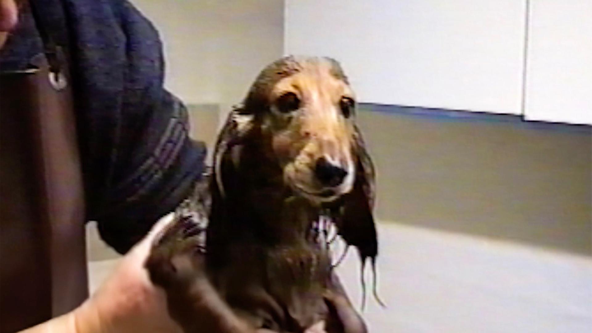 Anadol & Marie Klock