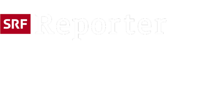 logo reporter