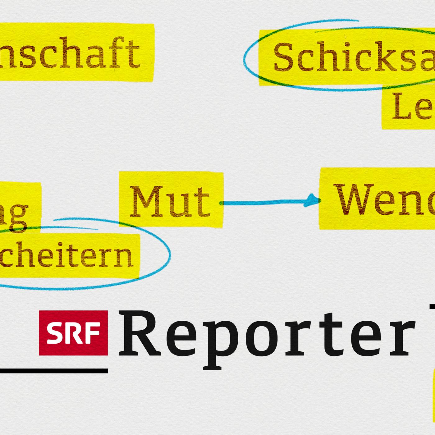 sendetypical reporter