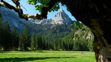Ein Bergpanorama; von einer Talwiese aus fotografiert.