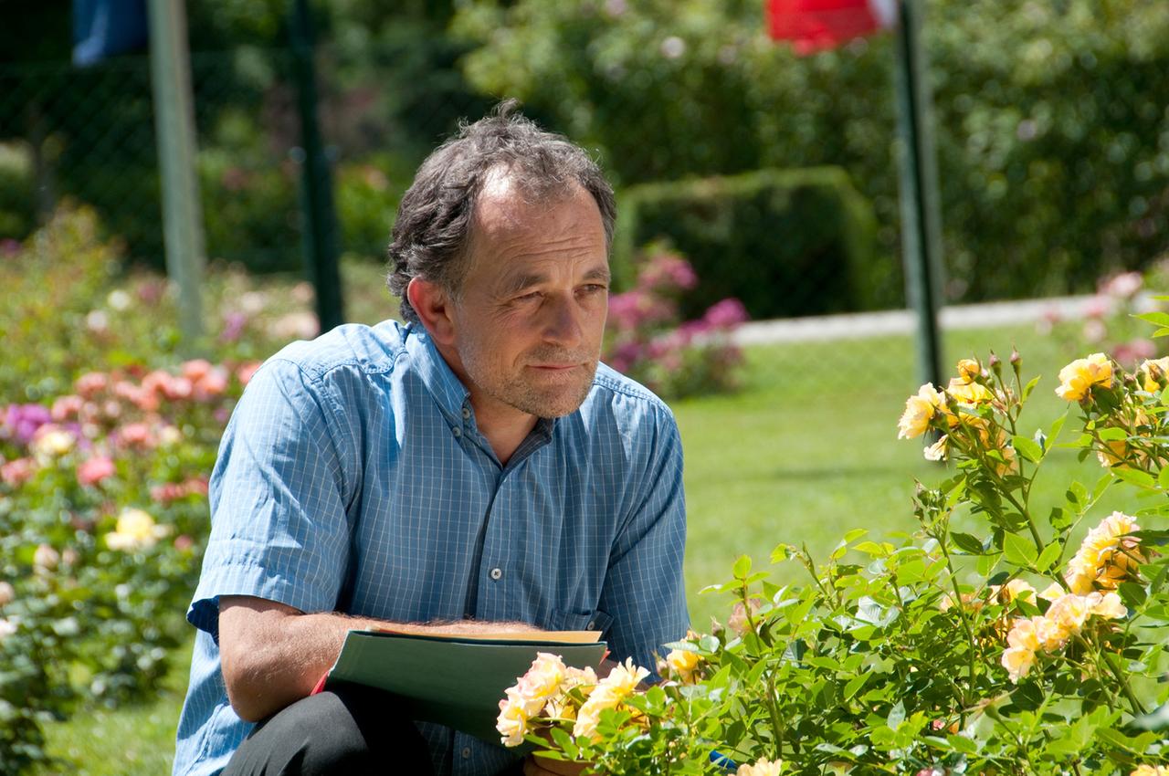 Ein Mann betrachtet hockend einen Rosenstrauch 