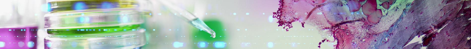 Collage von Petrischalen, eine Pipette, einer mikroskopische Aufnahme