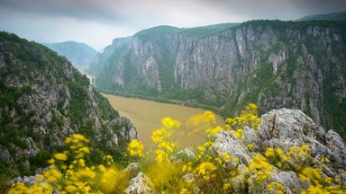 Im Hintergrund windet sich ein ockerfarbener Fluss zwischen steilen Felshängen. Im Vordergrund sind gelbe Wiesenblumen zu erkennen.