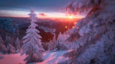 Schneebedeckte Tannen vor untergehender Sonne in einer winterlichen Mittelgebirgslandschaft.
