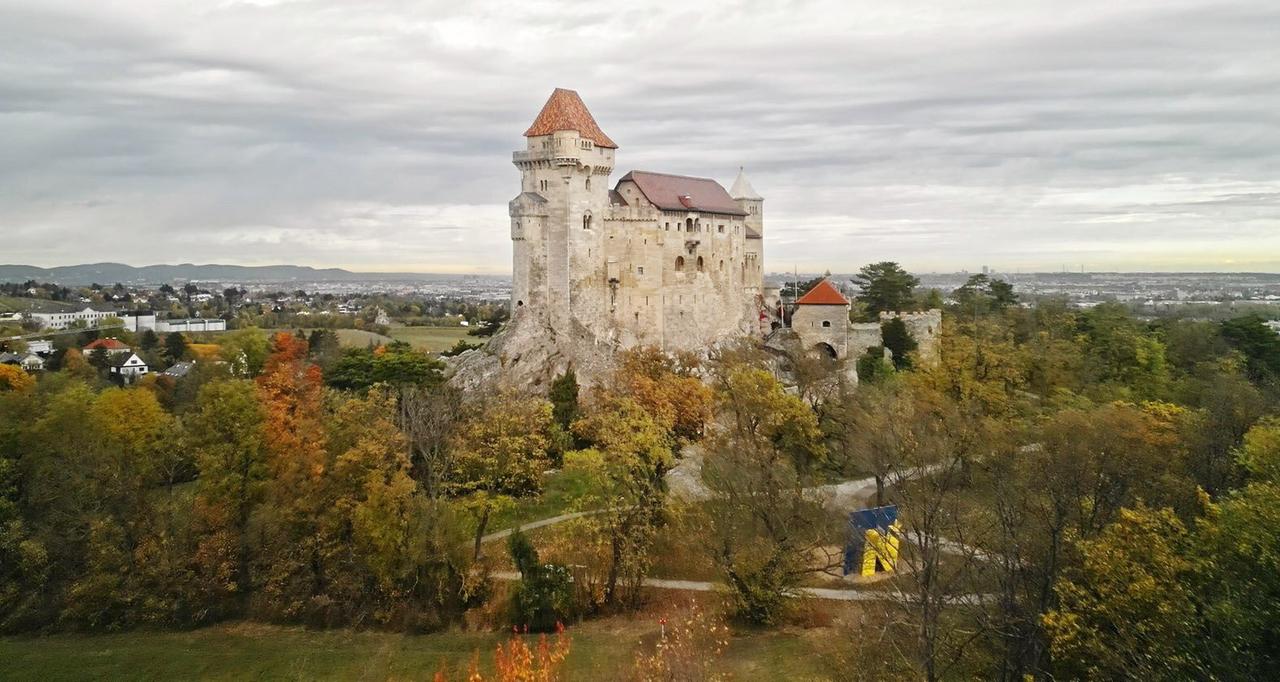 Eine Burg zwischen Bäumen, die herbstlich eingefärbt sind.