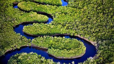 Der Flussverlauf des Sambesi aus der Luft gesehen.