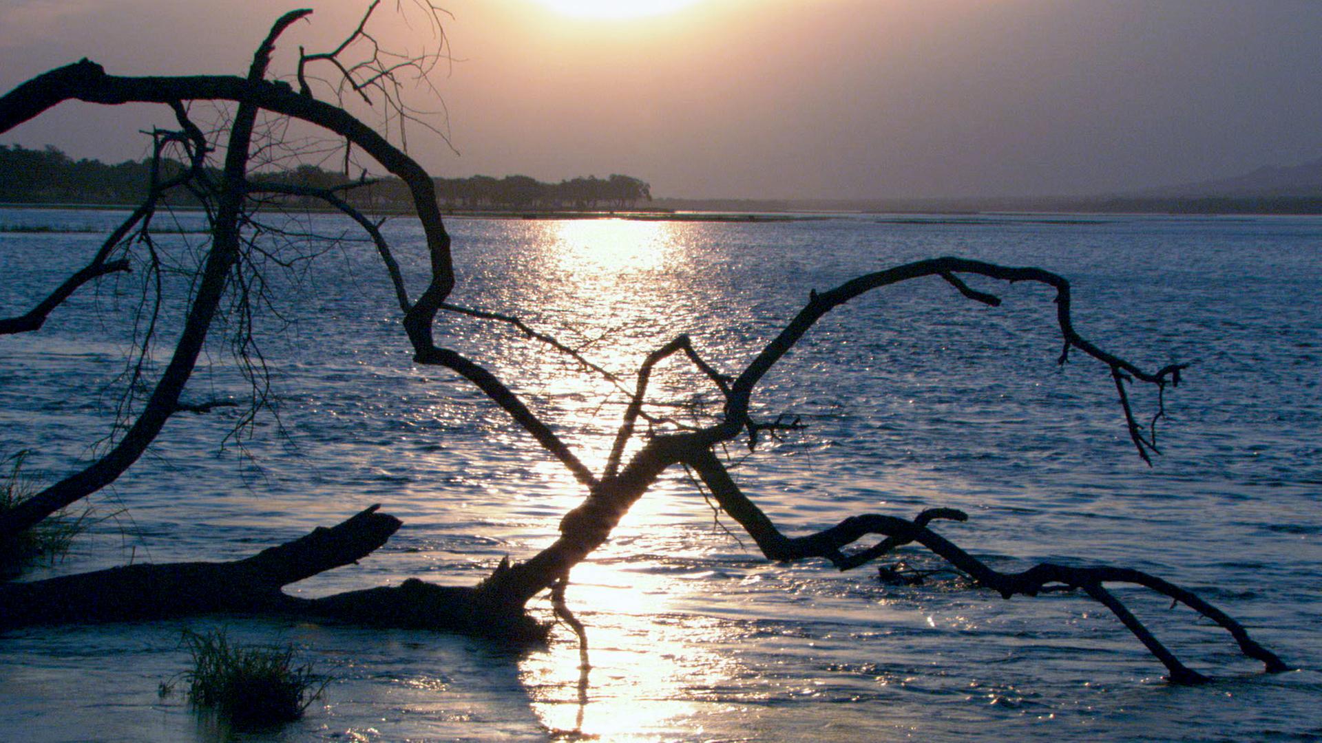 Fluss in der untergehenden Sonne