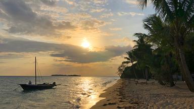 "Sansibar - Afrikas wilde Schönheit": Strand mit Palmen und Segelboot im Wasser.
