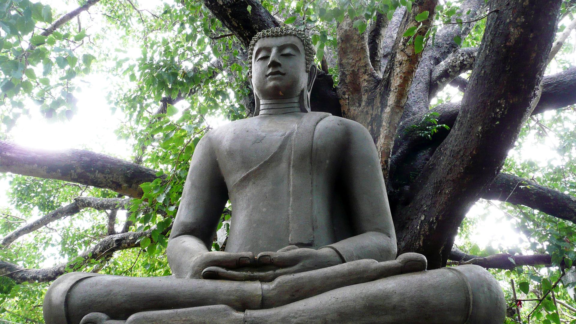 Die große Buddha-Statue unter einem Bodhi-Baum